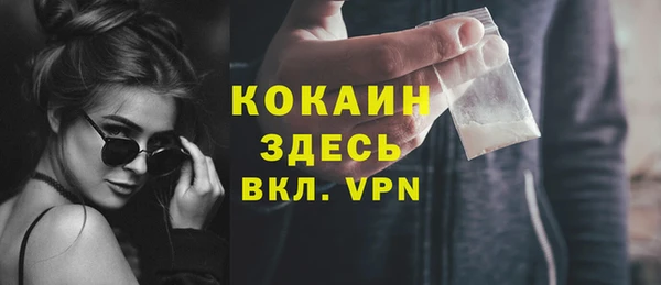 шишки Армянск