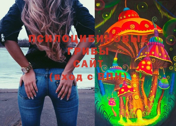 мяу мяу мука Арсеньев