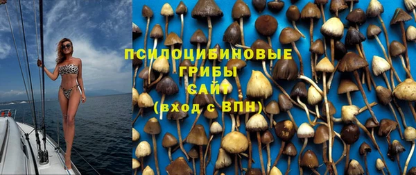 мяу мяу мука Арсеньев