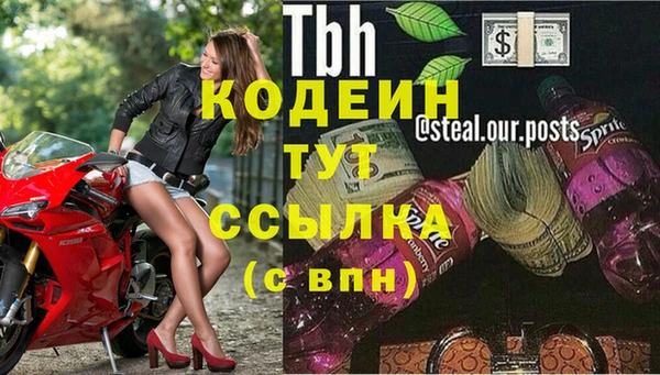 мяу мяу мука Арсеньев