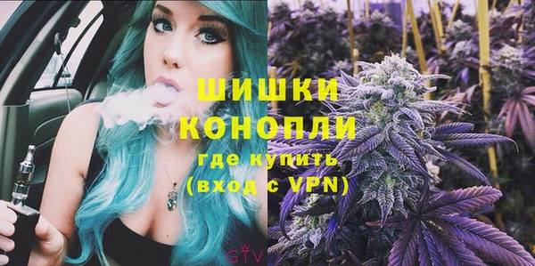 шишки Армянск
