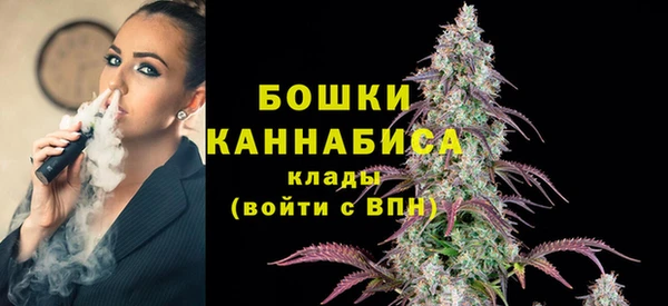 шишки Армянск